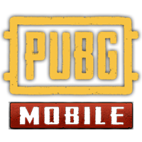 PUBG Team